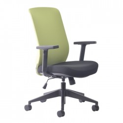 Buro Gene Fabric back Chair