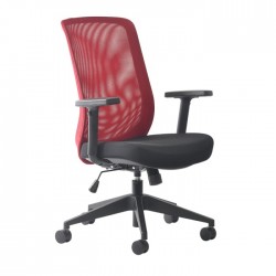 Buro Gene Mesh back Chair