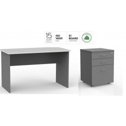 Ergoplan Desk with Mobile 1200